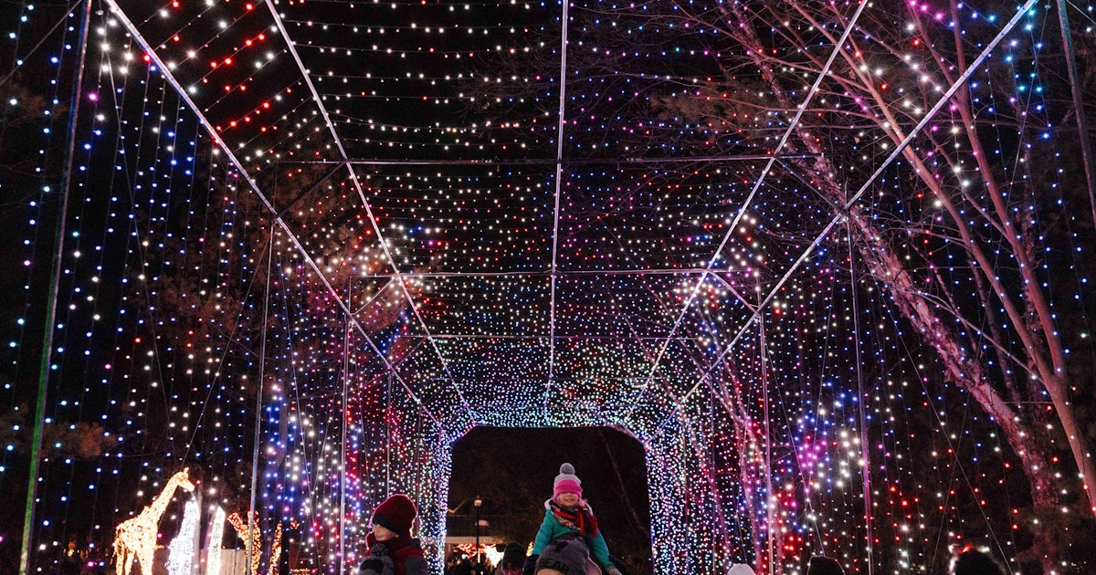 Wild Lights: An Epic Holiday Event with Light Displays at the Detroit Zoo | Visit Detroit